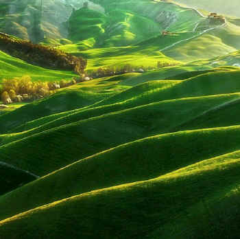 crete senesi